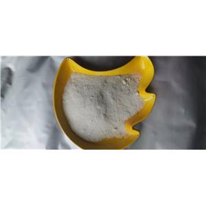 Dimethocaine Hydrochloride 