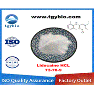 Lidocaine hydrochloride;lidocaine HCL