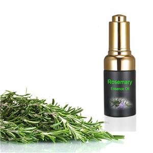 Rosemary essential oil Rosemary Extract 