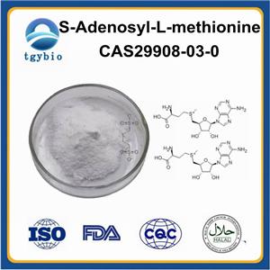 S-Adenosyl-L-methionine