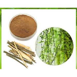 White Willow Bark Extract