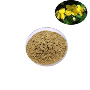 celandine extract