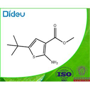 methyl 2-amino-5-tert-butylthiophene-3-carboxylate 