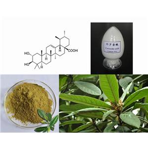 Banaba extract corosolic acid