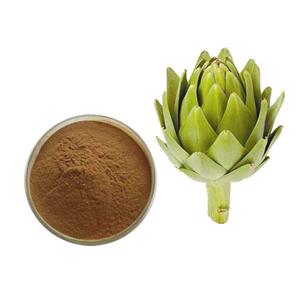 globe artichoke extract