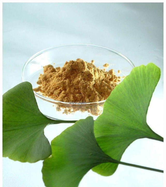 Ginkgo Biloba Extract