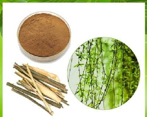 White Willow Bark Extract