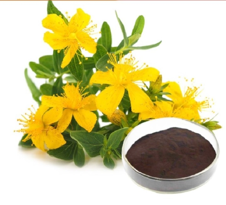 St. John\'s Wort Extract