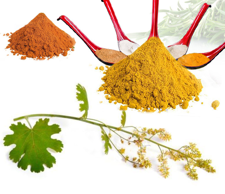 Sanguinarine Macleaya cordata extract