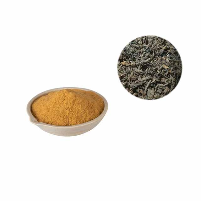 Dark Tea Extract