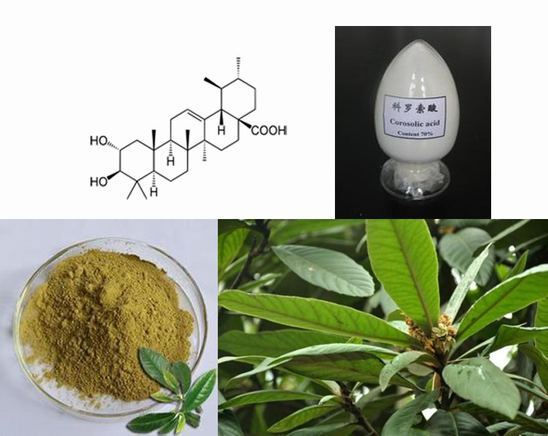 Banaba extract corosolic acid