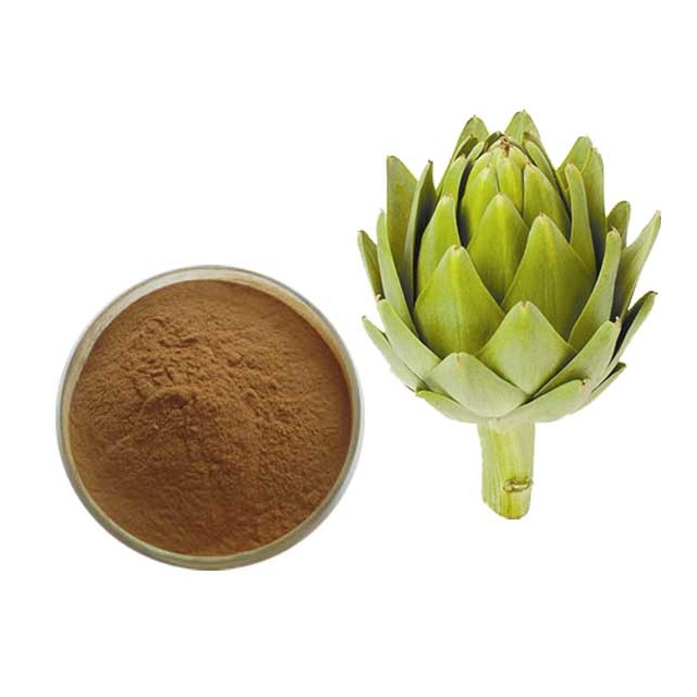 globe artichoke extract