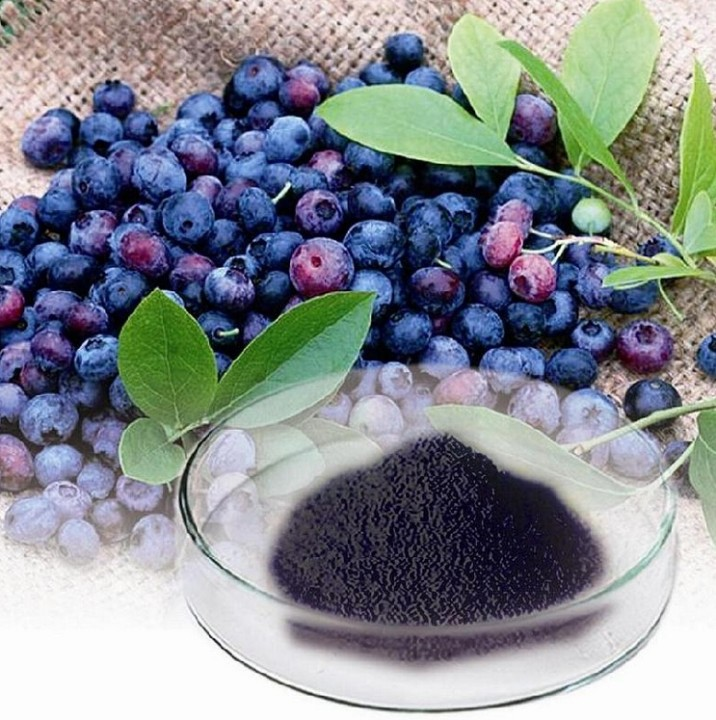 Blueberry Extract