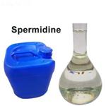 Spermidine