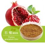 Pomegranate Extract