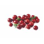 Cranberry extract