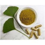 Ginkgo Biloba Extract