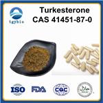 turkesterone