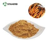 cordyceps extract