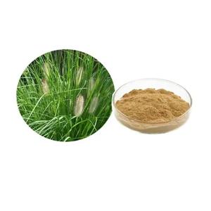 L. Leaf Powder Horsetail Extract