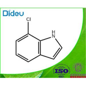 7-Chloroindole 