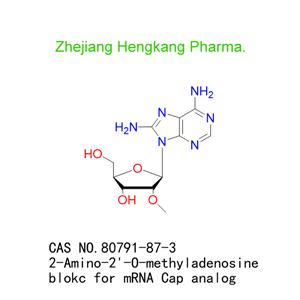 2-Amino-2'-O-methyladenosine