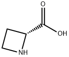 D-AZETIDINE-2-CARBOXYLIC ACID