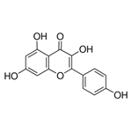 Kaempferol