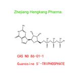 Guanosine 5'-TRIPHOSPHATE