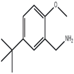 (5-Tert-butyl-2-methoxyphenyl)methanamine