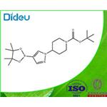 tert-Butyl 4-[4-(4,4,5,5-tetramethyl-1,3,2-dioxaborolan-2-yl)-1H-pyrazol-1-yl]piperidine-1-carboxylate 