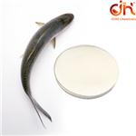 Fish Collagen Peptide