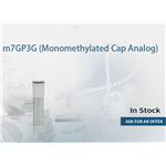 m7GP3G (Monomethylated Cap Analog)