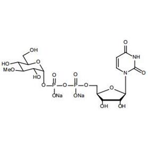 UDP-3-methyl-Glucose.2Na