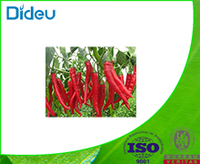 Capsicum red pigment