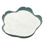 Ertapenem Powder