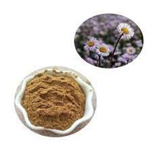 Erigeron Breviscapus Extract