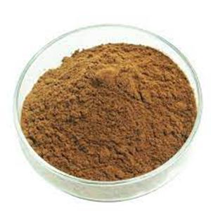 Cyrtomium Fortunei Extract 