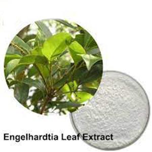 Engelhardtia Extract