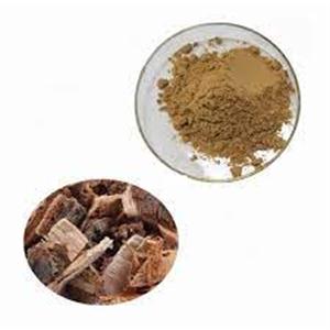 Elm Bark Extract