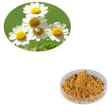 Feverfew Extract