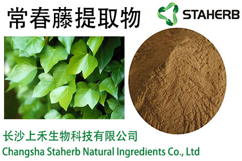 Ivy leaf extract