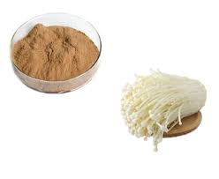 Enoki Mushroom Extract