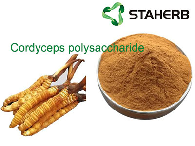 Cordyceps polysaccharide