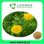 Dandelion Extract