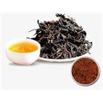  Dark Tea Extract