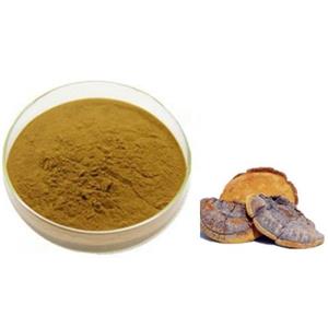 Phellinus igniarius extract total flavonids