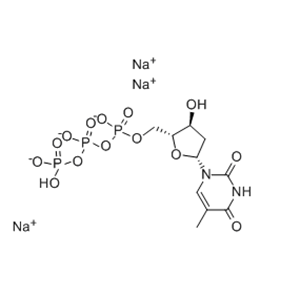 Deoxythymidine triphosphate