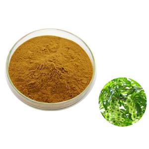 Cyclocarya paliurus extract