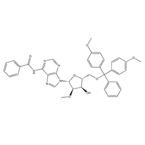 N6-BENZOYL-5'-(DIMETHOXYTRITYL)-2'-O-METHYLADENOSINE